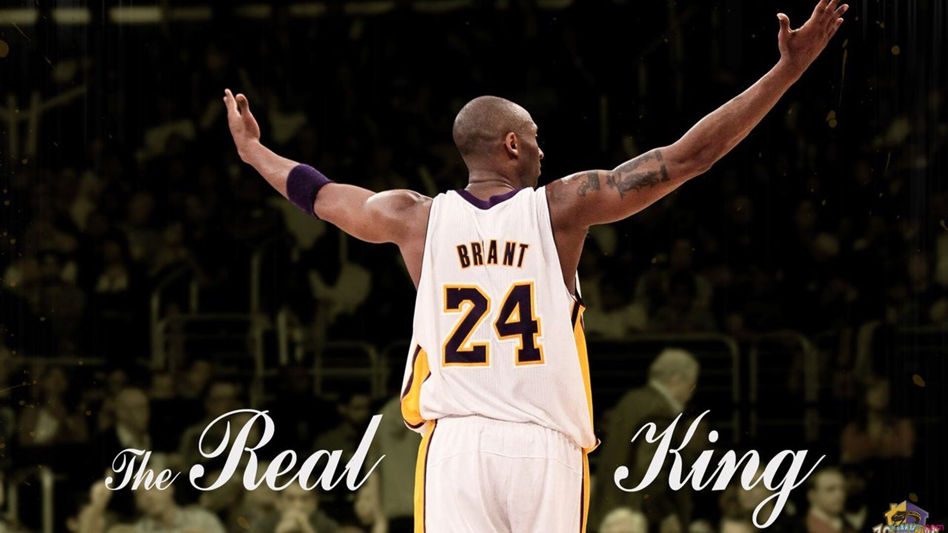 季后赛战火升温,精彩一触即发!,季后赛出线形势